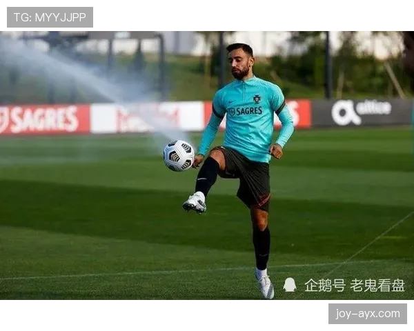 布鲁诺职业生涯回顾：从青年才俊到足坛明星的辉煌征程