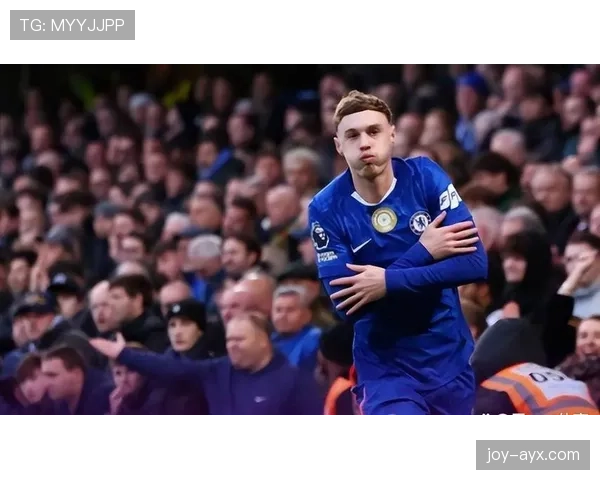 帕尔默技术全面性 帕尔默技术全面性