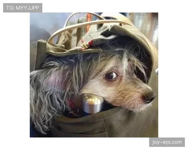 汪顺这生活节奏也太拼了吧，睡觉都像在开训练营似的